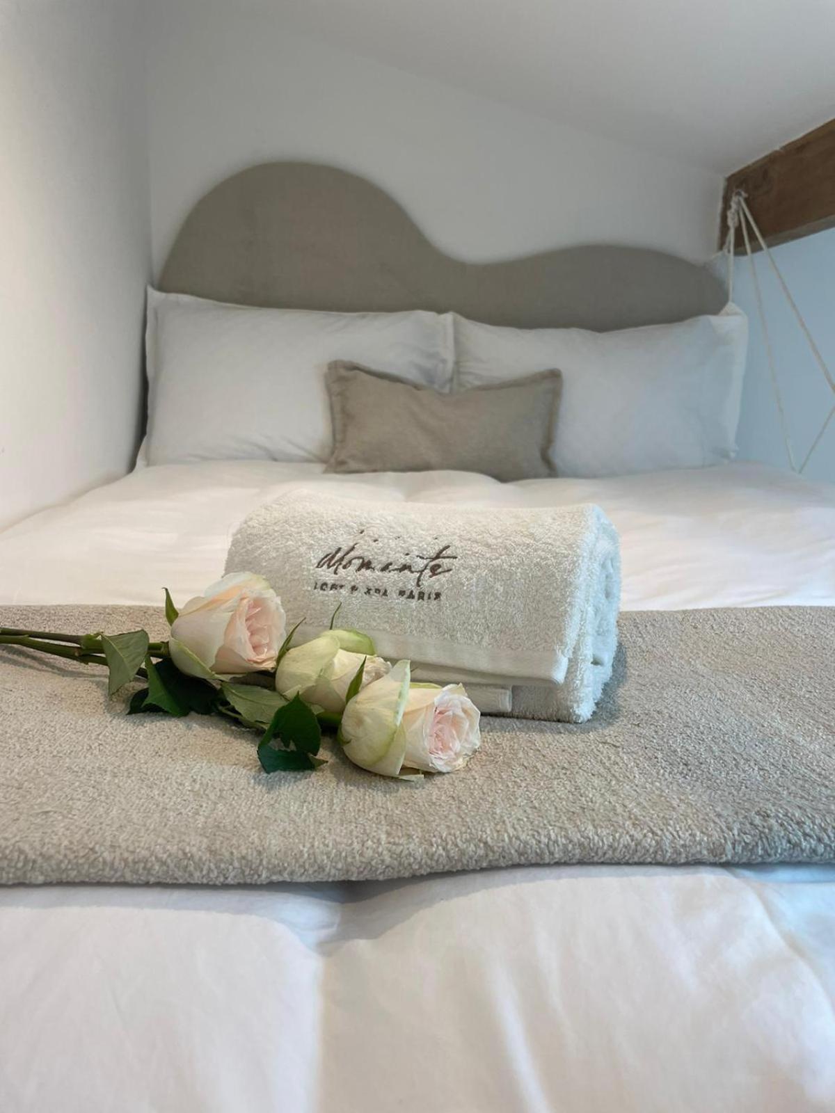 Moments Loft & Spa Paris Montesson Εξωτερικό φωτογραφία